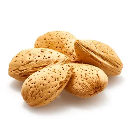 Almond Kernels Almond Nuts/Almond Without Shell Available