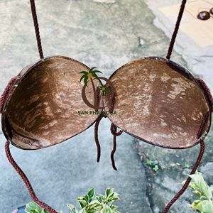 Proveedor de Vietnam de sujetador de coco Hawaiano para ropa interior de apoyo/Sujetador de coco Hawaiano con cordón Shell Bikini Top para adultos - Product Image 6