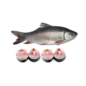 EAU DOUCE DE QUALITÉ SUPÉRIEURE ROHU POISSON ENTIER - Product Image 5