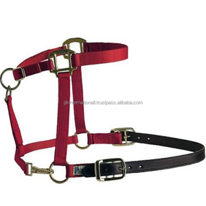 100% Material Original correas de nailon grueso caballo de nailon Halter de alta calidad último diseño carreras de caballos Halter y accesorios - Product Image 5
