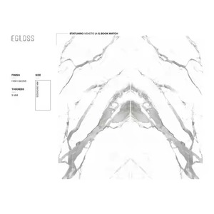 Vistaar Dalle en porcelaine marbre blanc doré 120x240cm 48x96in Tendance Sol et mur extérieurs - Product Image 6