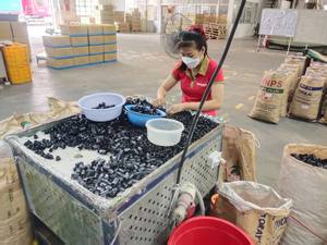 Raccords d'inspection en PVC, couleur rouge, ignifuges, certifiés AC BF-TR ISO9001, pour câblage électrique et décoration intérieure, fabriqués au Vietnam - Product Image 5