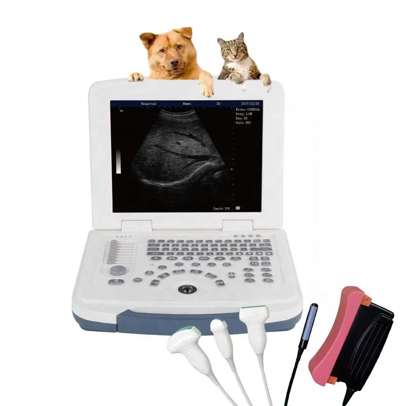 Dawei Dog Scanning Machine Bovine Pregnancy Veterinary Ultrasound Scanners For Sale