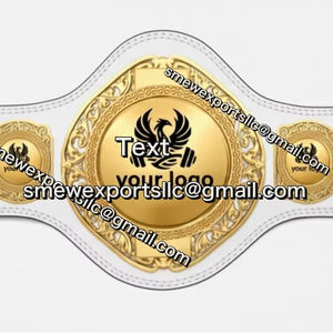 Ceinture de championnat personnalisée en PU écologique pour la boxe, le MMA et la compétition de Taekwondo - Design taille basse avec doublure - Product Image 1