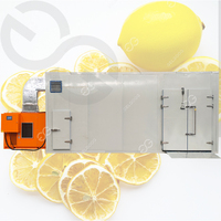 Mango-drooglijn, droogmango-machine, verwerkingslijn voor fruit en groenten, productielijn voor gedroogde mango
