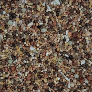 Premium Racing Pigeon Seed Mix Espagnol-Fait pour la force et l'endurance 20KG Pet Food - Product Image 4