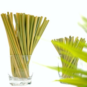 Pajitas de Hierba Biodegradables Desechables Naturales para Beber, Solo en Vietnam, Proveedor de Precio Económico - Product Image 6