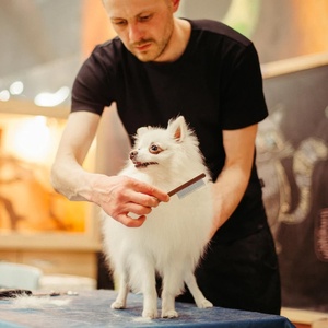 Peine portátil para pulgas de mascotas, herramienta de aseo con mango de palisandro de lujo con dientes de acero inoxidable para gatos y perros - Product Image 6