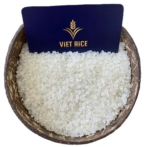 egyptian rice Short-Grain round rice for shipping Japonica rice supplier from vietnam factory with high quality