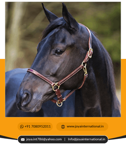 Halter en cuir de produits équestres en gros de haute qualité avec muserolle réglable intelligent - Product Image 4