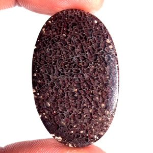 Cabochon d'os de dinosaure naturel de haute qualité pierres précieuses en vrac lisses toutes les tailles à la main pierre de guérison mélange forme de haute qualité - Product Image 1