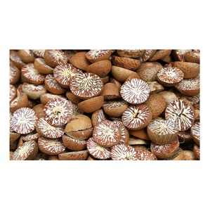 Nueces de betel, nueces de areca, venta al por mayor - Product Image 6