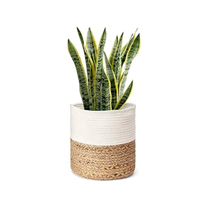 Nuevos productos de alta calidad, cesta de plantas de embalaje personalizado orientada a la exportación, cesta de maceta de yute para decoración del hogar en maceta de Bangladesh - Product Image 6