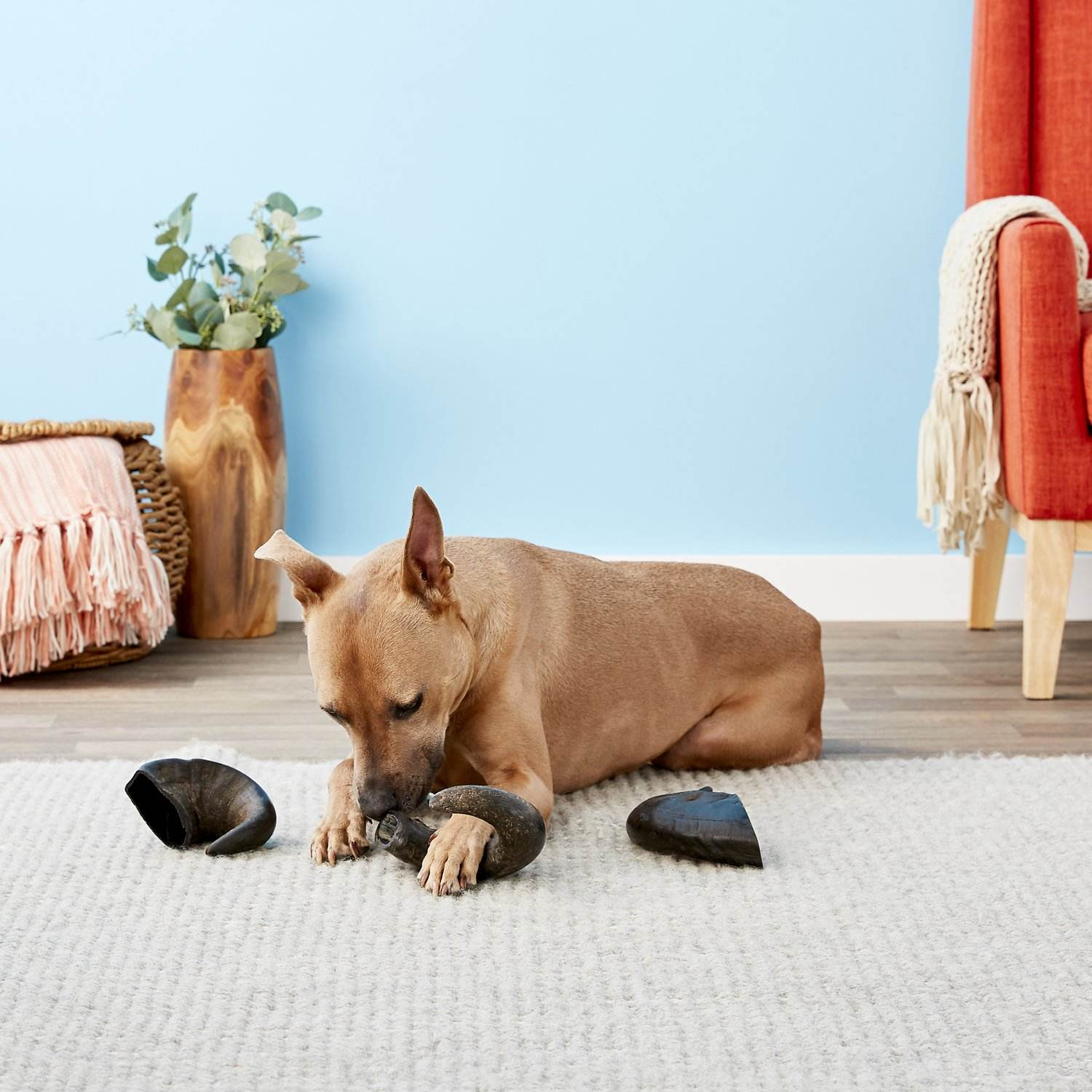 เช่นเดียวกับภาพ