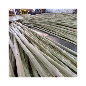 Hot Selling Frozen Sugarcane Sweet Sugarcane for juice good price from Vietnam