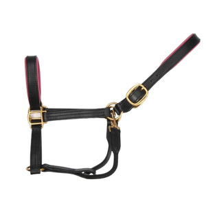 Nouveauté, harnais de cheval personnalisé durable, cuir véritable, rembourrage doux, logo personnalisé, équitation confortable, AL RAHMAN TACKS - Product Image 3