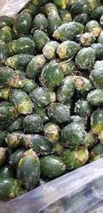 TUERCA BETEL PIEZAS CONGELADAS/SIN PRODUCTOS QUÍMICOS/ALTA PUREZA - Product Image 3