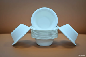 Vajilla Desechable Personalizada de 9 Pulgadas de Caña de Azúcar, Plato de Pulpa de Bagazo Compostable para Todo Tipo de Ocasiones - Product Image 4