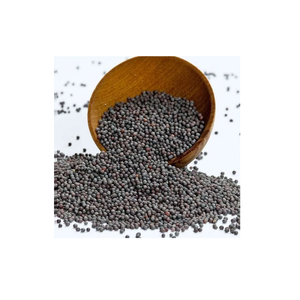 Suministro a granel de colza a precio de descuento de fábrica para importadores globales - Product Image 4