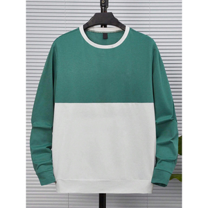 Sweat-shirt homme 2025, polaire à l'intérieur, pull-over 100% coton, poids lourd, col rond, streetwear, décontracté, sweat-shirt homme - Product Image 3