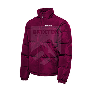 Doudoune d'hiver isolée élégante pour hommes avec col montant pour les sports de plein air, les voyages et les vêtements décontractés - Product Image 2