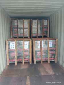 ชุดแบตเตอรี่พลังงานแสงอาทิตย์12โวลต์สำหรับบ้านพลังงานสำรองพลังงานแสงอาทิตย์ C20 260AH 12โวลต์สำหรับบ้าน ecoflow แบบพกพาไฟฟ้าสำหรับบ้าน - Product Image 3