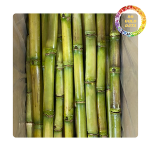 Palitos de caña de azúcar congelados de Vietnam | Nueva cosecha | Suministro a granel - Product Image 4