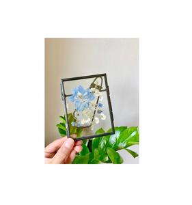 Cadre photo en verre flottant en métal fait main pour fleurs pressées, cadre en verre double face, cadre photo mural en verre, décoration intérieure - Product Image 5