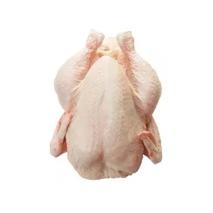 Poulet frais congelé entier et en pièces de qualité supérieure en vente Brésil poulet entier halal congelé propre entier congelé en vente