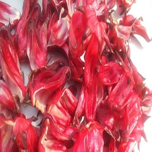 Usine directe meilleure qualité bois dur charbon de bois noir approvisionnement en gros pour narguilé BBQ/Restaurant fait noix de coco bambou coquille Shisha - Product Image 5