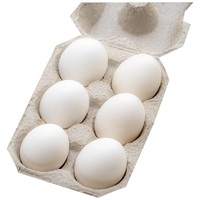 Œufs à couver de poulets de chair Ross 308 et Cobb 500, et œufs de table frais