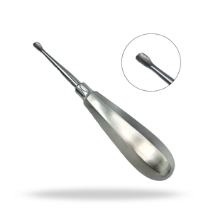 Elevador Dental Quirúrgico Estándar de 5.1mm con Punta de Ala 501 para Extracción de Dientes y Elevación de Raíces - Product Image 1