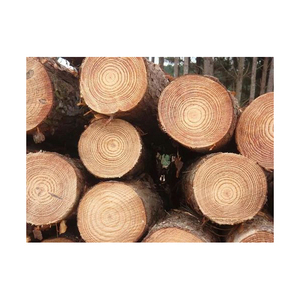Troncos de ciprés Madera redonda Tipos de teca y acacia Carga a granel Fabricantes de leña Mejor precio Madera de pino seca 100% - Product Image 1