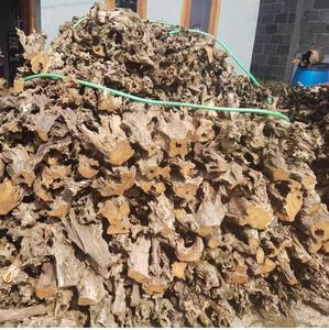 Decoración interior o exterior para acuario, madera de roca de la mejor calidad, venta al por mayor - Product Image 6