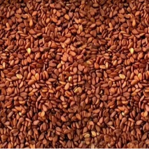 Semillas de sésamo marrón de Myanmar - Product Image 3
