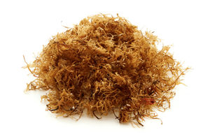 EUCHEUMA COTTONII untuk kesehatan/lumut Laut Irlandia manfaat kesehatan/rumput laut panggang kering ekspor dari EXPAD VIETNAM - Product Image 4