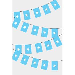 Guirlande de drapeaux rectangulaires de Somalie pour décorations de fête et célébrations - Product Image 1