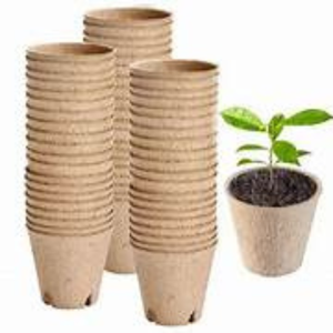 SustainOCoir Seedling <b>Pot</b> <b>Trays</b> Premium Quality <b>Pots</b> for Growing Healthy Plants - Product Image 1