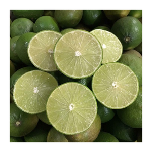 Lima fresca de origen vietnamita Premium/Limón de alto grado sin semillas/Sabor agrio y fresco de cítricos naturales 100% - Product Image 4