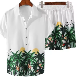 2 piezas Sportswear Summer Set T Men Casual set para hombres - Product Image 4