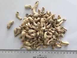 <b>DRIED</b> SHIITAKE MUSHROOM / CLEAN LABEL / <b>PLANT</b> ORIGIN / NATURAL DRY - Product Image 6