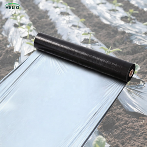 UV 차단 플라스틱 멀칭 필름 농업용 슬리버 블랙 PE (고추, 양파, 파인애플 재배용) - Product Image 1