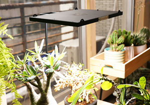 Roki 350 đèn LED cơ sở có thể điều chỉnh chiều cao Bảng kẹp cơ sở bán tốt bao la chi phí Kích thước 54cm 64cm 74cm Đèn chủ sở hữu & cơ sở - Product Image 6