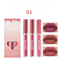 Ensemble de 3 rouges à lèvres liquides mats longue tenue en coffret couleur, avec finition velours non collante et non décolorante, et boîte cadeau