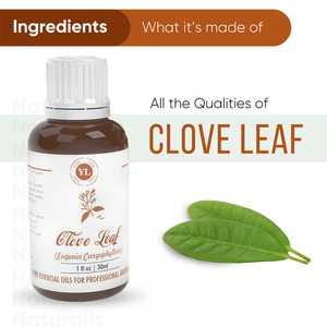 El más vendido 100%, aceite esencial de clavo orgánico Natural Syzygium Aromaticum, aceite destilado al vapor, aceite de clavo, uso de mensajes - Product Image 3