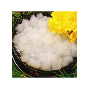 NATA DE COCO EN BRUTO DE TENDENCIA EN 2024, GELATINA DE COCO EN ALMIRAJE CON SABOR FRUTAL, PAQUETE DE 10 KG, HECHO EN VIETNAM, PRECIO COMPETITIVO DE FÁBRICA - Product Image 1