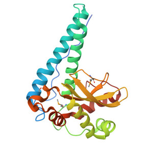 ผงโซดาเข้มข้น9054-89-1ผง Superoxide dismutase CAS