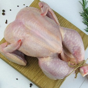 Carne de pollo entero congelada fresca de alta calidad de grado más vendida, pollo entero congelado de Brasil - Product Image 5