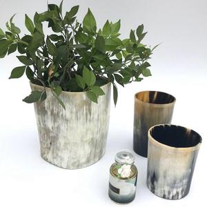 Top Quality Salt <b>Lamp</b> Buffalo Horn Flower Vase Living Room Flower Arrangement TV Cabinet Table Home Decor Horn Flower Vase - Product Image 1