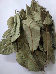 Vietnam prix compétitif pour la vente feuilles de goyave séchées naturelles à bas prix et de haute qualité - Product Image 2